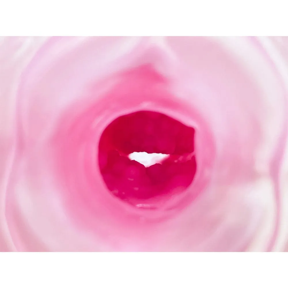 Peach Toys - Kaku Meiki DX Salmon Roe Coaster Onahole Masturbator (Pink)